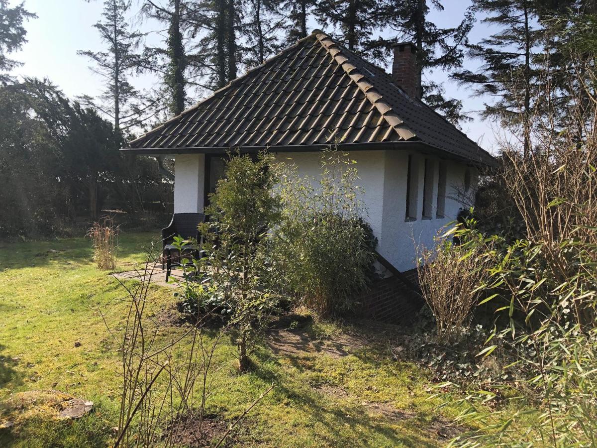 Kleiner Wattprinz Nebel Exteriér fotografie